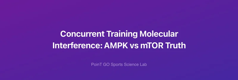 Concurrent Training Molecular Interference: AMPK vs mTOR Truth