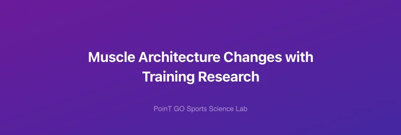 Muscle Architecture Changes with Training Research