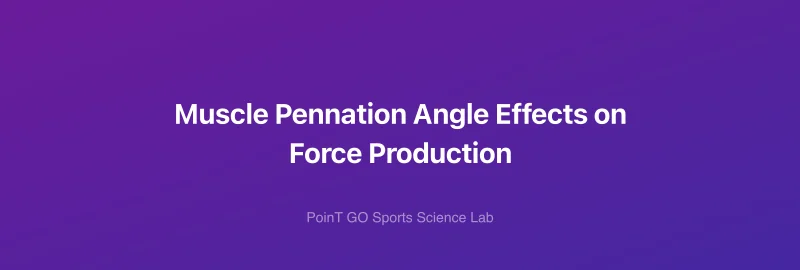 Muscle Pennation Angle Effects on Force Production