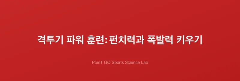 격투기 파워 훈련: 펀치력과 폭발력 키우기