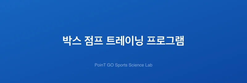 박스 점프 트레이닝 프로그램