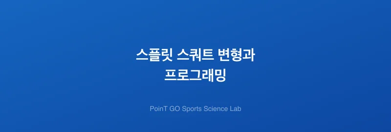 스플릿 스쿼트 변형과 프로그래밍