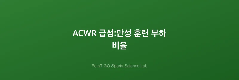 ACWR 급성:만성 훈련 부하 비율