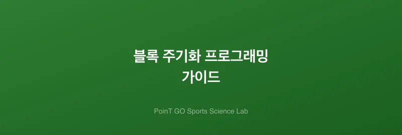 블록 주기화 프로그래밍 가이드