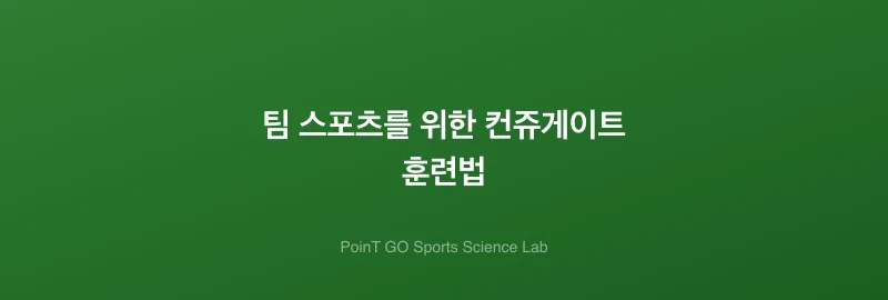 팀 스포츠를 위한 컨쥬게이트 훈련법