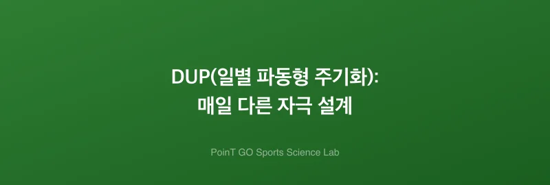 DUP(일별 파동형 주기화): 매일 다른 자극 설계