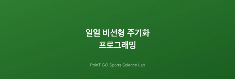 일일 비선형 주기화 프로그래밍