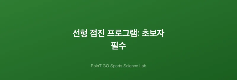 선형 점진 프로그램: 초보자 필수