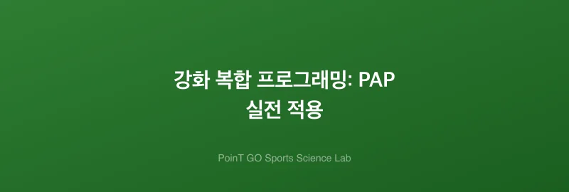 강화 복합 프로그래밍: PAP 실전 적용