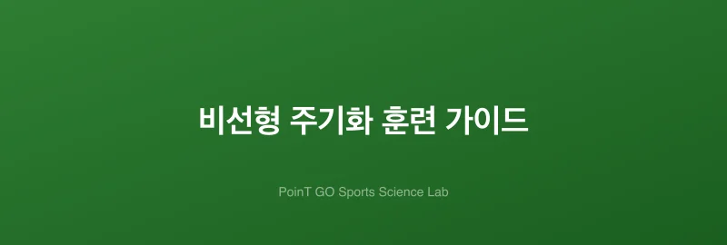 비선형 주기화 훈련 가이드