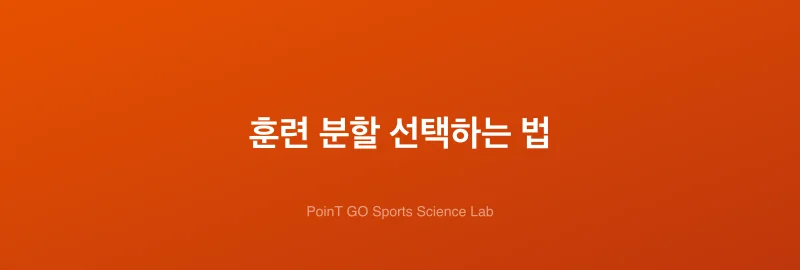 훈련 분할 선택하는 법