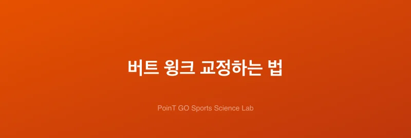 버트 윙크 교정하는 법