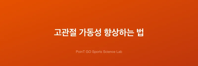 고관절 가동성 향상하는 법