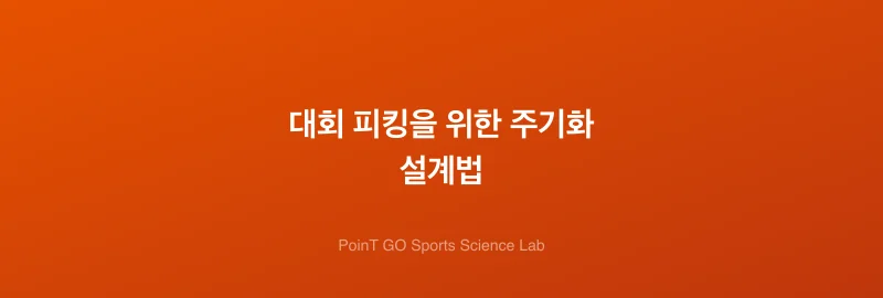 대회 피킹을 위한 주기화 설계법