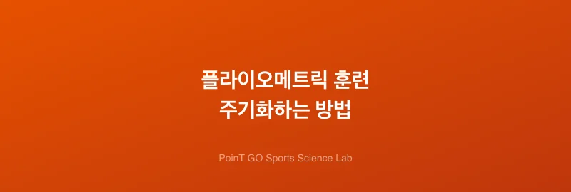 플라이오메트릭 훈련 주기화하는 방법