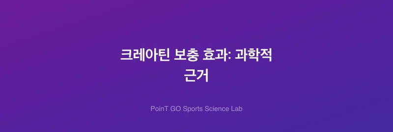 크레아틴 보충 효과: 과학적 근거