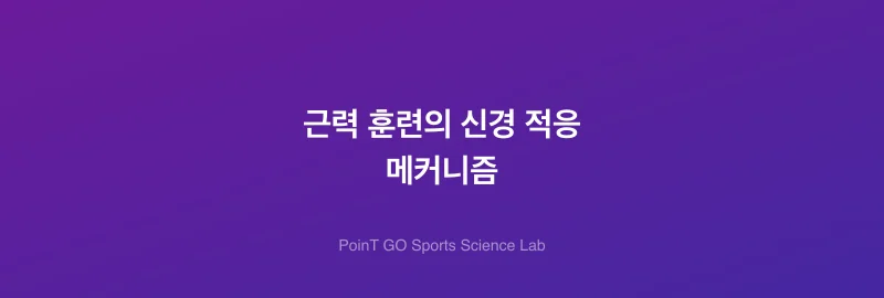 근력 훈련의 신경 적응 메커니즘