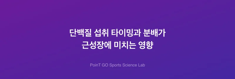 단백질 섭취 타이밍과 분배가 근성장에 미치는 영향