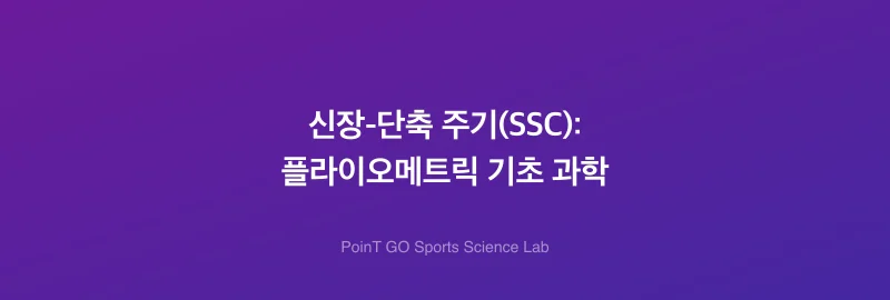 신장-단축 주기(SSC): 플라이오메트릭 기초 과학