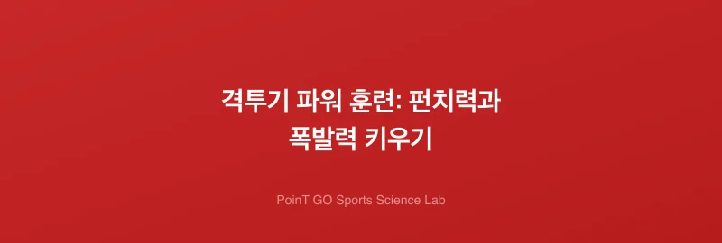 격투기 파워 훈련: 펀치력과 폭발력 키우기