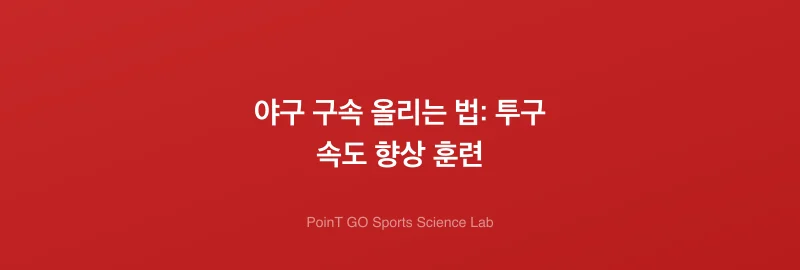 야구 구속 올리는 법: 투구 속도 향상 훈련